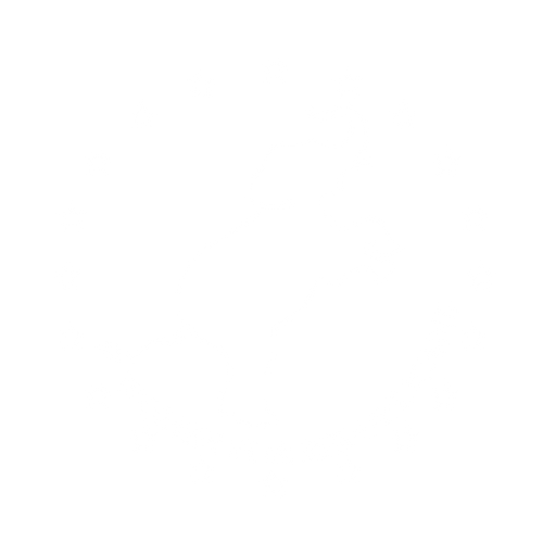 Women for Republicans
